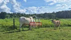 Foto 23 de Fazenda/Sítio à venda em Zona Rural, Pugmil