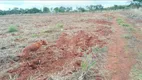 Foto 12 de Fazenda/Sítio à venda, 20000m² em Area Rural do Gama, Brasília