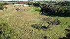 Foto 11 de Fazenda/Sítio com 1 Quarto à venda, 10m² em Area Rural de Engenheiro Coelho, Engenheiro Coelho