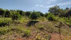 Foto 8 de Fazenda/Sítio com 4 Quartos à venda, 149000m² em Jardim Roriz, Brasília