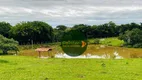 Foto 21 de Fazenda/Sítio com 4 Quartos à venda, 387200m² em Zona Rural, Bela Vista de Goiás