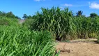 Foto 27 de Fazenda/Sítio com 4 Quartos à venda, 130m² em Zona Rural, São José de Mipibu