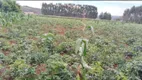 Foto 36 de Fazenda/Sítio com 3 Quartos à venda, 40000m² em Area Rural de Brazlandia, Brasília