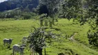 Foto 5 de à venda, 36000m² em Sul do Rio, Santo Amaro da Imperatriz