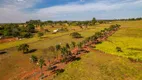 Foto 19 de Fazenda/Sítio com 3 Quartos à venda, 600m² em Zona Rural, Luziânia