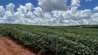 Foto 16 de Fazenda/Sítio com 1 Quarto à venda, 4080000m² em Jardim Karaíba, Uberlândia