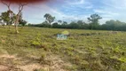 Foto 2 de Fazenda/Sítio à venda, 1090000m² em Parque Alvorada, Timon