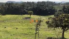 Foto 11 de Fazenda/Sítio à venda, 2299000m² em Campo Largo da Roseira, São José dos Pinhais