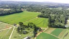 Foto 15 de Fazenda/Sítio com 1 Quarto à venda, 4361m² em Campina do Taquaral, São José dos Pinhais