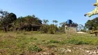 Foto 19 de Fazenda/Sítio com 3 Quartos à venda, 106m² em ITIMIRIM, Iguape