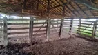 Foto 15 de Fazenda/Sítio com 3 Quartos à venda, 2052160m² em Zona Rural, Trindade