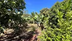 Foto 30 de Fazenda/Sítio com 3 Quartos à venda, 200m² em Glebas Califórnia, Santa Bárbara D'Oeste