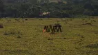 Foto 14 de Fazenda/Sítio à venda, 1887600m² em , Itaberaí