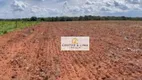 Foto 2 de Fazenda/Sítio com 2 Quartos à venda, 60m² em Zona Rural, Pedro Afonso