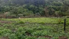 Foto 3 de Fazenda/Sítio com 2 Quartos à venda, 150m² em Brigadeiro Tobias, Sorocaba