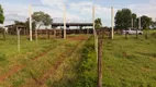 Foto 20 de Fazenda/Sítio com 3 Quartos à venda, 3700000m² em Zona Rural, Acorizal