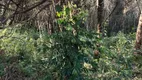 Foto 5 de Lote/Terreno à venda, 600m² em , Brumadinho