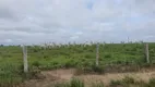 Foto 10 de Fazenda/Sítio à venda, 170000000m² em Setor Central, Santa Fé do Araguaia