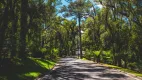 Foto 12 de Casa com 4 Quartos à venda, 345m² em Mato Queimado, Gramado