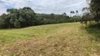 Foto 18 de Lote/Terreno à venda, 10000m² em Vila Delurdes, Campo Largo