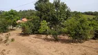 Foto 26 de Fazenda/Sítio com 2 Quartos à venda, 3000m² em Vila Sao Joao, Senador Canedo