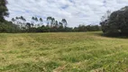 Foto 27 de Lote/Terreno à venda, 5000m² em Vila Delurdes, Campo Largo