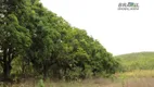 Foto 7 de Fazenda/Sítio com 3 Quartos à venda, 104000m² em Engenho das Lages, Brasília