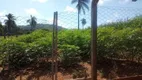 Foto 28 de Fazenda/Sítio com 4 Quartos à venda, 300m² em Zona Rural, Monte Sião