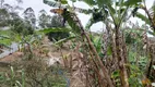 Foto 6 de Fazenda/Sítio com 3 Quartos à venda, 2005m² em Morro Grande, São Lourenço da Serra