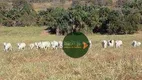 Foto 14 de Fazenda/Sítio à venda, 2565200m² em Area Rural de Goianesia, Goianésia