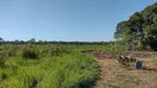 Foto 8 de Fazenda/Sítio à venda, 400m² em Zona Rural, Humaitá