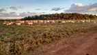 Foto 31 de Fazenda/Sítio com 3 Quartos à venda, 300m² em Zona Rural, Goiatins