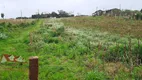 Foto 6 de Fazenda/Sítio com 2 Quartos à venda, 6000m² em Colônia Malhada, São José dos Pinhais