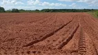 Foto 17 de Fazenda/Sítio com 3 Quartos à venda, 44000m² em Zona Rural, Touros