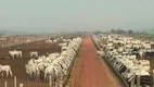 Foto 6 de Fazenda/Sítio à venda, 620m² em , Pindorama do Tocantins