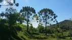Foto 6 de Fazenda/Sítio com 4 Quartos à venda, 24000m² em Saboó, São Roque