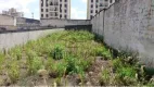 Foto 4 de Lote/Terreno para venda ou aluguel, 500m² em Vila Formosa, São Paulo