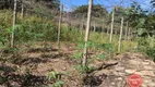 Foto 18 de Fazenda/Sítio com 3 Quartos à venda, 480m² em Silva Prado, Brumadinho