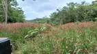 Foto 29 de Fazenda/Sítio com 2 Quartos à venda, 490000m² em Sao Gabriel de Goias, Planaltina