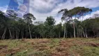 Foto 5 de Lote/Terreno à venda, 5000m² em Bateias de Baixo, Campo Alegre