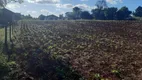 Foto 6 de Fazenda/Sítio com 3 Quartos à venda, 80m² em Santo Antonio, Mato Leitão