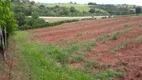 Foto 10 de Lote/Terreno à venda em Sobradinho, Mogi Mirim