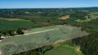 Foto 8 de Lote/Terreno à venda, 20000m² em Ferraria, Campo Largo