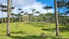 Foto 2 de Fazenda/Sítio com 3 Quartos à venda, 100m² em Centro, Campo Alegre