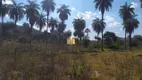 Foto 27 de Fazenda/Sítio com 3 Quartos à venda, 660000m² em Urucuia, Esmeraldas