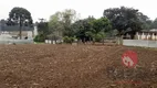 Foto 2 de Lote/Terreno à venda, 24800m² em Campo de Santana, Curitiba