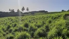 Foto 19 de Fazenda/Sítio à venda, 200000m² em , Monte Alegre