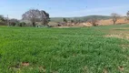 Foto 3 de Lote/Terreno à venda, 6500m² em , Salto de Pirapora