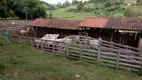 Foto 52 de Fazenda/Sítio com 3 Quartos à venda, 90m² em Zona Rural, Cambuí