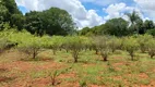 Foto 18 de Fazenda/Sítio com 3 Quartos à venda, 180000m² em Area Rural de Planaltina, Brasília